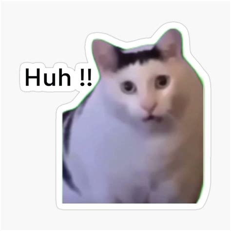 Huh Cat Meme Sticker - Support Artist on Redbubble