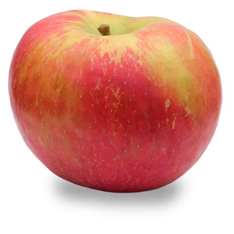 Honeycrisp Apples | Bulk Natural Foods