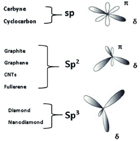 Representation of carbon structures hybridization states. | Download Scientific Diagram