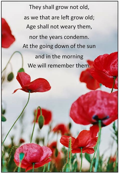 Every Bed of Roses: ANZAC Day - an Ode to the Fallen | Anzac day, Remembrance day quotes, Anzac ...