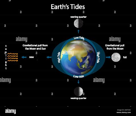 Diagram showing earth tides with earth and moon illustration Stock Vector Image & Art - Alamy