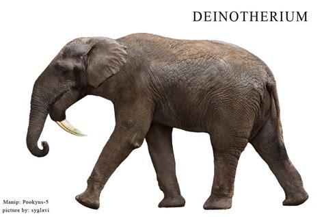 Deinotherium ~ Everything You Need to Know with Photos | Videos