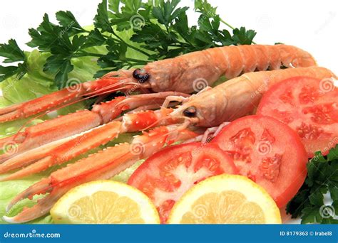 Norway lobster stock image. Image of crayfish, still, italian - 8179363