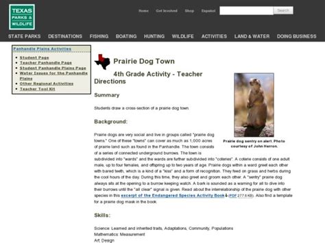 Prairie Dog Town Lesson Plan for 4th Grade | Lesson Planet