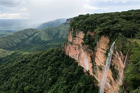 Cerrado Biodiversity Hotspot - WorldAtlas