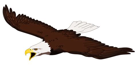 Picture Of Eagle Soaring - ClipArt Best