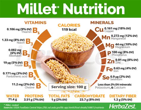 Millet | HerbaZest