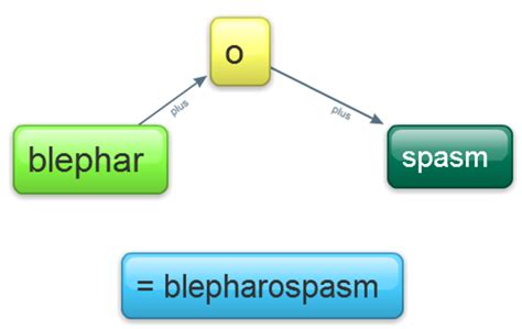 Using Mind Mapping as a Memory Tool - Owlcation