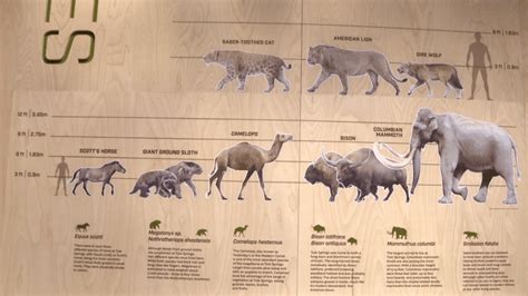 Helmsley Charitable Trust grants $3.5 million for completion of Ice Age Fossils State Park