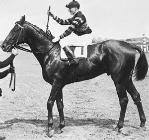 Man o’ War Racehorse 2022