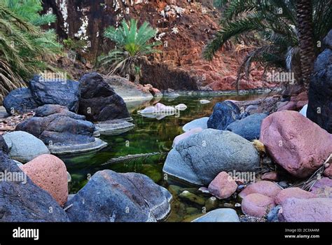 Yemen. Most beautiful canyon on Socotra island Wadi Dirhur. Mountain ...