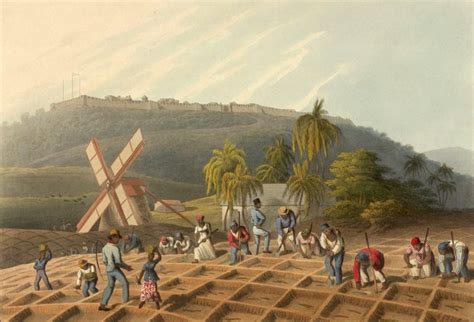 Empire and Slavery in the Caribbean through the 19th Century - Brewminate: A Bold Blend of News ...