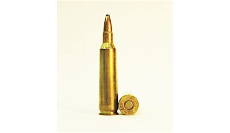 Survival Ammunition: .22-250 Remington – Ultimate Assets