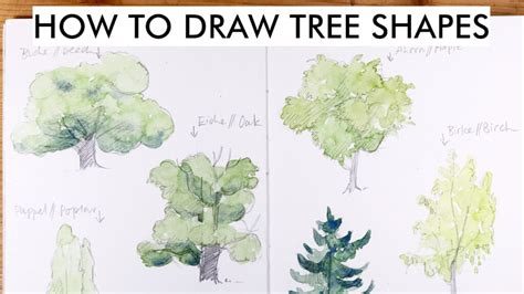 How to draw tree shapes | Julia Bausenhardt