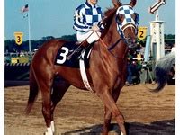 900+ Secretariat ideas in 2021 | secretariat, racehorse, horse racing