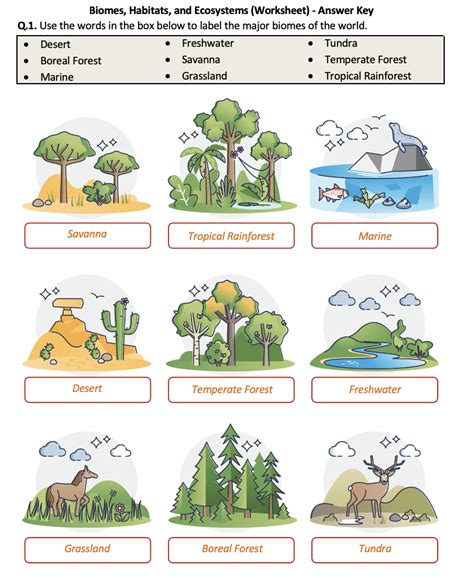 Ecosystems | 4th Grade Reading Comprehension Worksheet - Worksheets Library