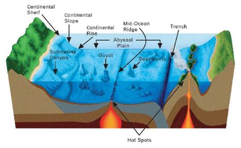 Trench Definition Earth Science - The Earth Images Revimage.Org