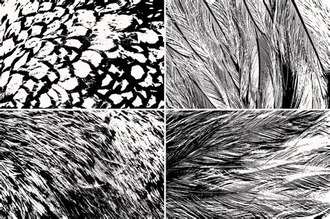 Feathers Textures - Creative Finest