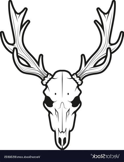 Elk Antler Vector at Vectorified.com | Collection of Elk Antler Vector ...