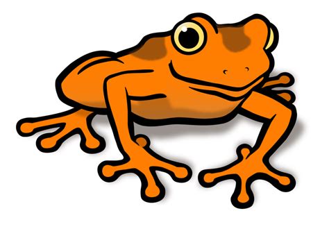 Toad clipart orange frog, Toad orange frog Transparent FREE for ...