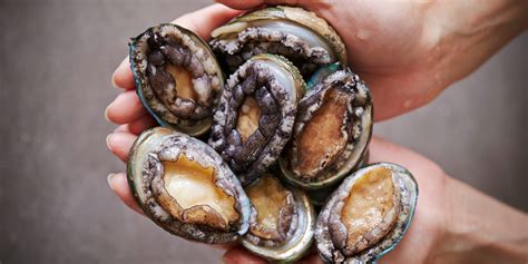 Sustainable Abalone Farming: Sea Ear & Ear Shell - ASC