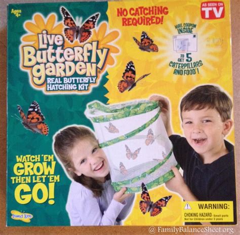 live butterfly garden | Live Butterfly Garden Life Science Activities, Activities For Kids, Live ...