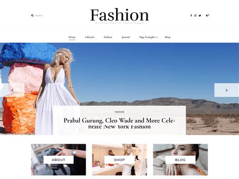 Blossom Fashion Download Free Wordpress Theme 【2022】