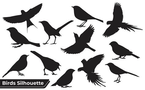 Seagull Silhouette Clip Art