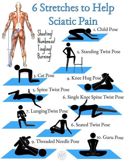 Sciatic Nerve Exercises, Sciatica Stretches, Lower Back Pain Exercises ...