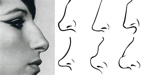 Here's What the Shape of Your Nose Has to Say About Your Personality ...