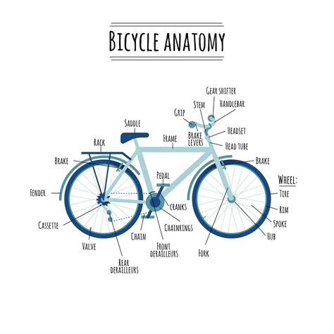 Parts of a Bicycle - Illustrated Guide