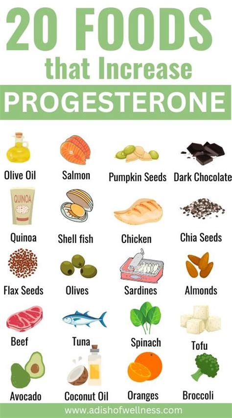 Foods that increase progesterone – Artofit