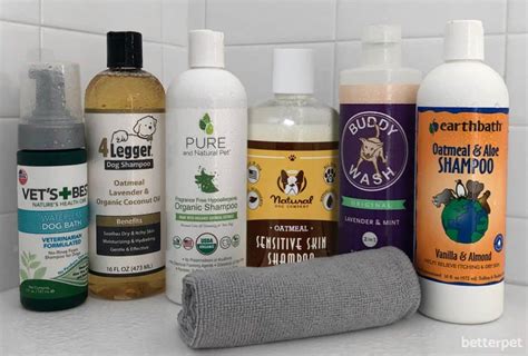 Best Dog Shampoos in 2023, According to a Vet