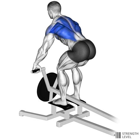 T Bar Row How To - Strength Level