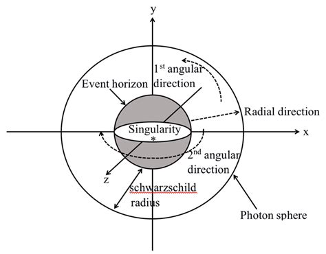 Anatomy of a Schwarzschild black hole. | Download Scientific Diagram