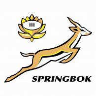 Springbok Rugby | Brands of the World™ | Download vector logos and logotypes