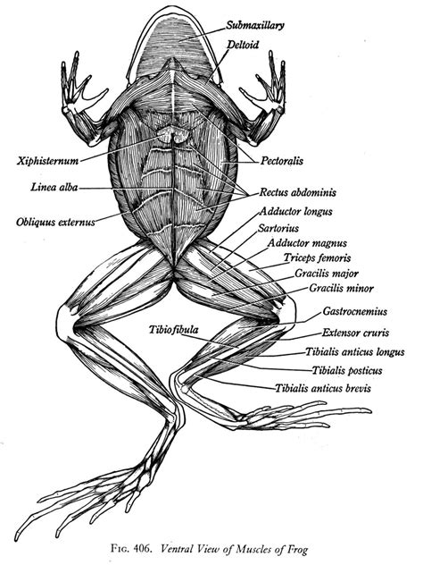 Biology 2