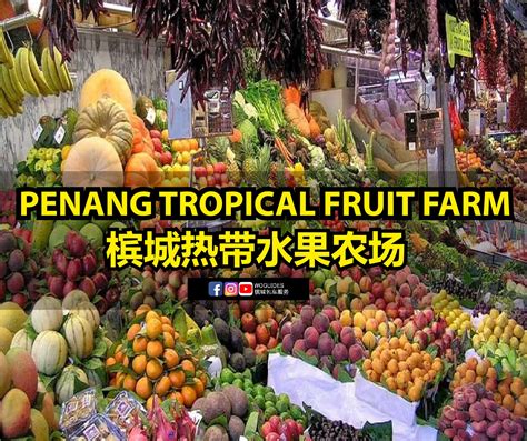 Penang Tropical Fruit Farm