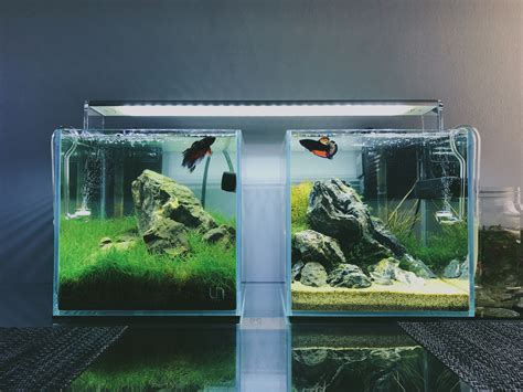 Nano Aquarium Betta - eheim aquarium heizer