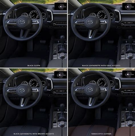 Mazda Cx 3 Interior Colors | Cabinets Matttroy