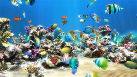 Aquarium Live Wallpaper For PC (55+ images)