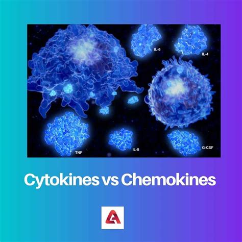 Cytokines vs Chemokines: Difference and Comparison