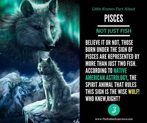 É um animal espiritual de peixes de lobo? – jshot.info