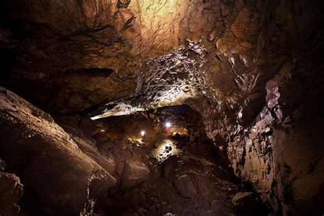 Inside Alberta's biggest bat cave | CBC News