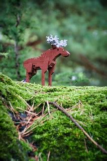 Moose at Legoland Billund Resort | Legoland Billund, the ori… | Flickr