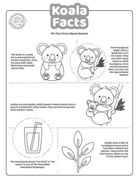 Fun Koala Facts For Kids - Print & Play! | Kids Activities Blog