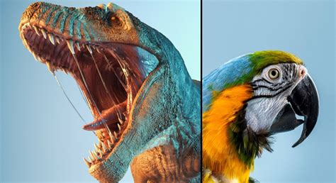 Giant study reveals the evolution of birds from dinosaurs to present day – University of Copenhagen