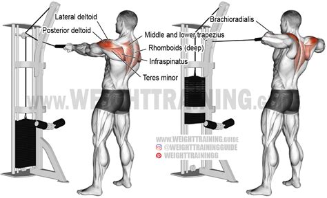 Seated Cable Face Pull W Rope | Brokeasshome.com