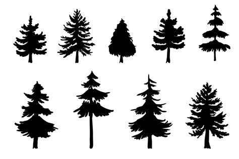 Pine Forest Vector at Vectorified.com | Collection of Pine Forest ...