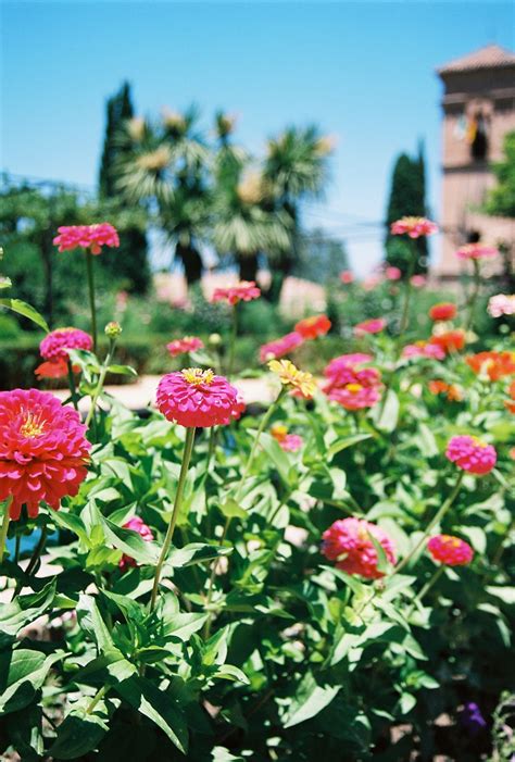 Alhambra Gardens - Entouriste